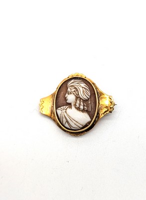 CAMÉE sur coquillage monté sur une broche...